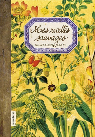 MES RECETTES SAUVAGES - FEUILLES-FLEURS-FRU ITS - PASTOR MARTINEZ N. - LES CUISINIERES