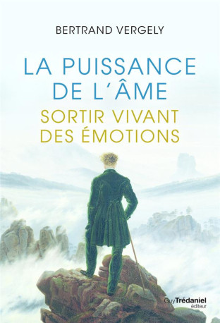 LA PUISSANCE DE L-AME - SORTIR VIVANT DE L-EMOTION - VERGELY BERTRAND - TREDANIEL