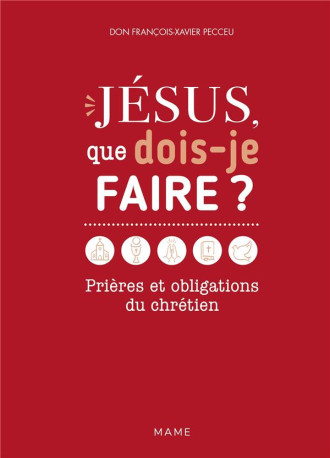 JESUS, QUE DOIS-JE FAIRE ? PRIERES ET OBLIGATIONS DU CHRETIEN - PECCEU F-X. - MAME