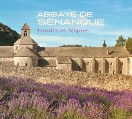 Abbaye de Sénanque -   - STUDIO SM