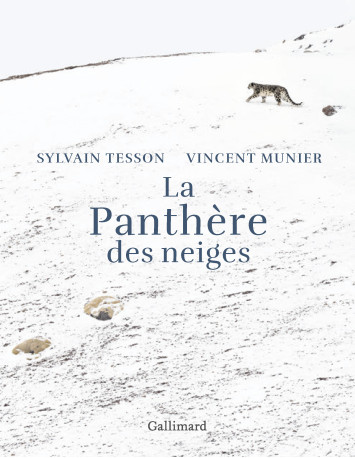 La panthère des neiges - Vincent Munier - GALLIM LOISIRS