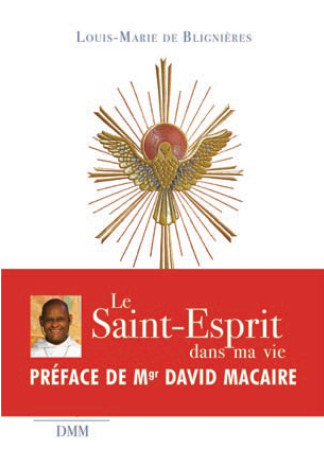 Le Saint-Esprit dans ma vie -  R.P. Louis-Marie de Blignières - MARTIN MORIN