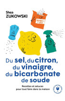 Du sel, du citron, du vinaigre, du bicarbonate de soude