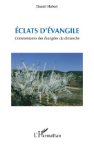 Eclats d'evangile