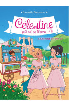 Celestine t6 le secret des etoiles