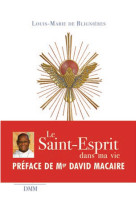 Le saint-esprit dans ma vie